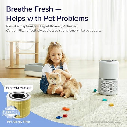 Household air purifier touch-type odor removal smoke and dust air freshener